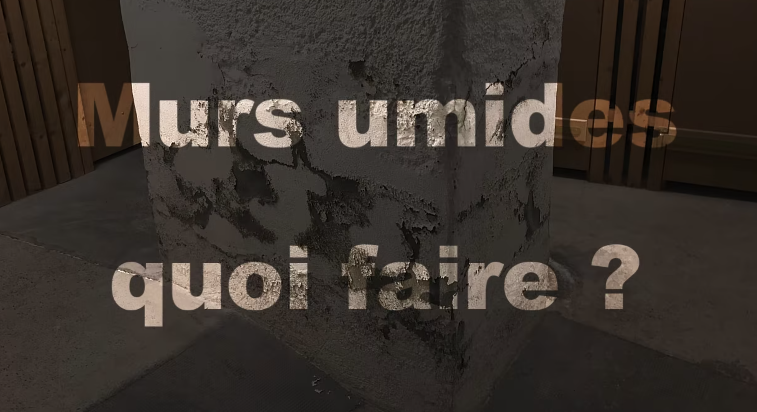 MurTronic 2 restaurez vos murs humides en 6 à 8 mois seulement — free download
